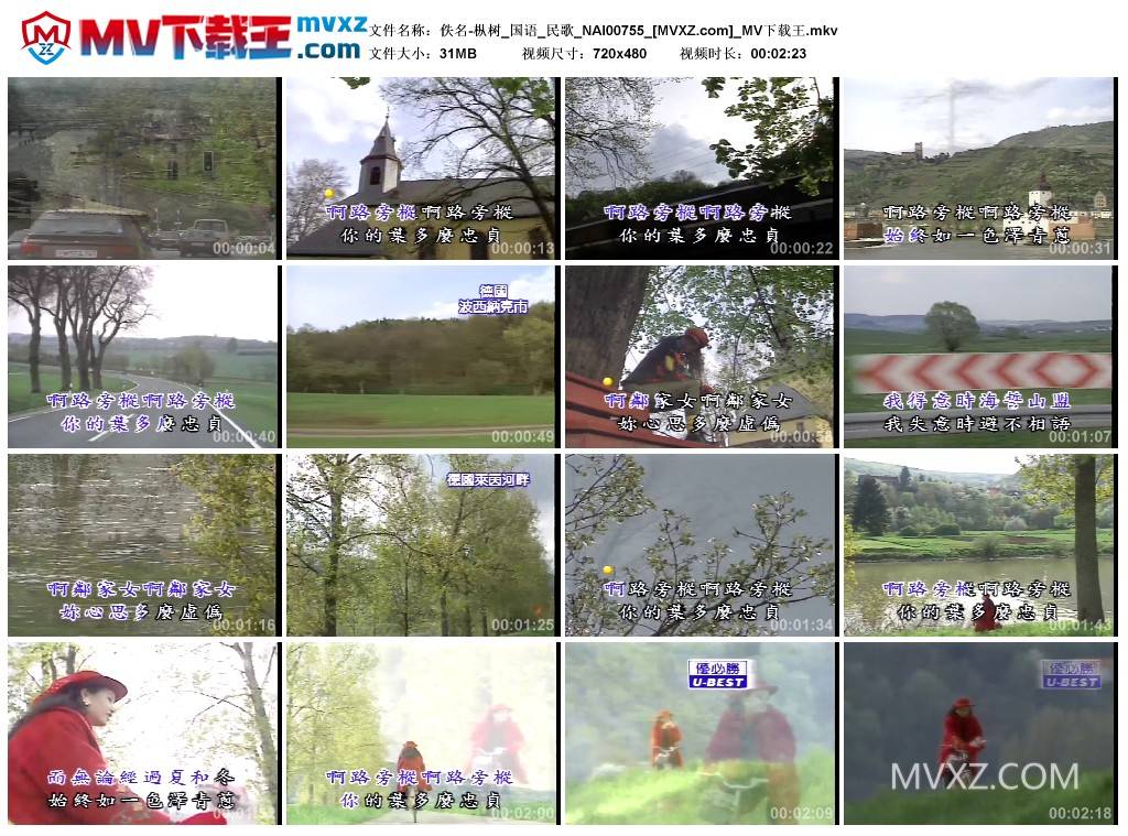 佚名-枞树_国语_民歌_NAI00755